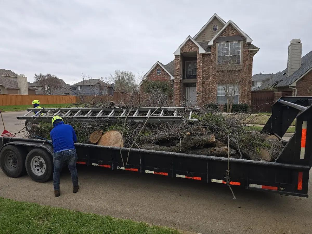 Expert Tree Removal with proper safety equipment in Zion Grove